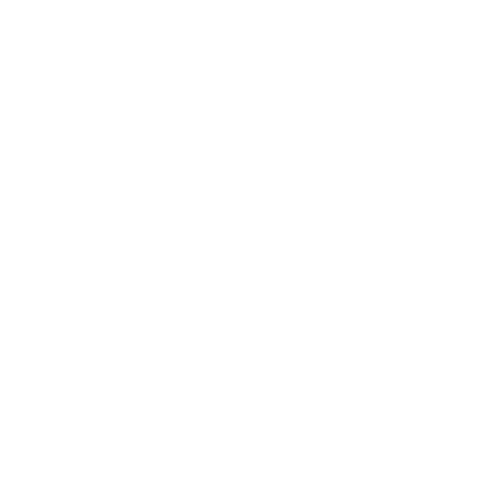 havenis collab brands