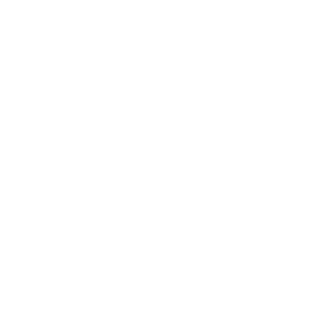 dicypha brand identity by muplix